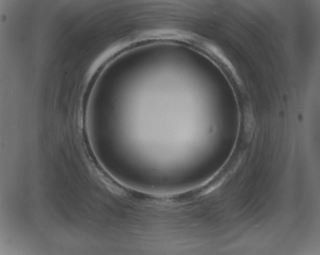 X0000081481328200701121435