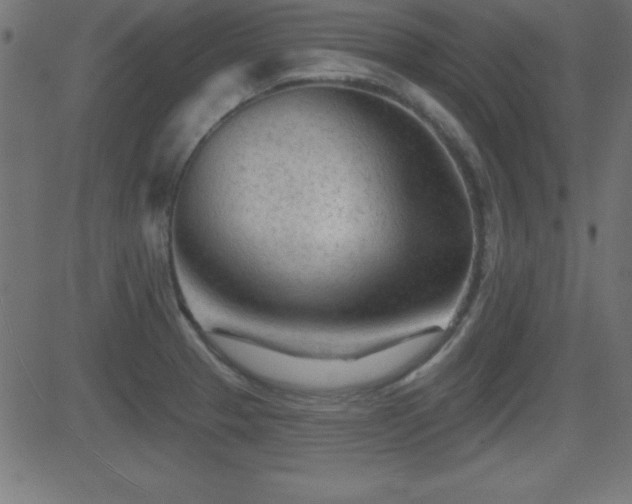 X0000081481329200701121435