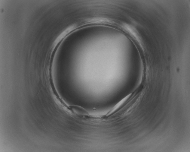 X0000081481330200701121435