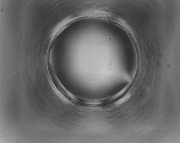 X0000081481344200701121435