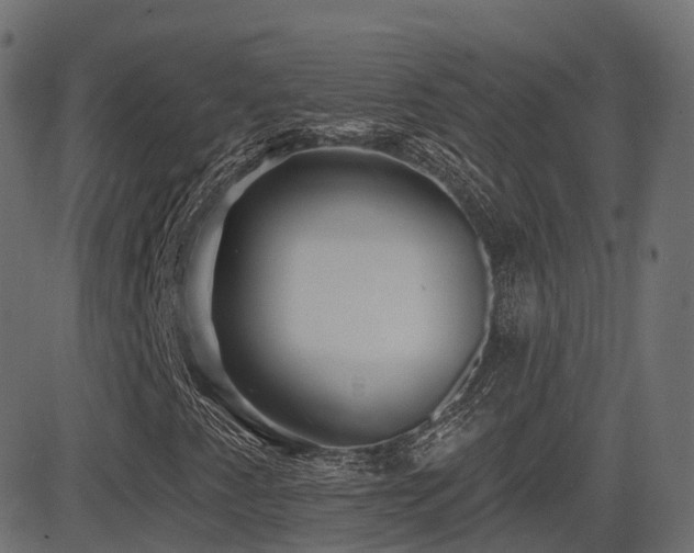 X0000081481345200701121434