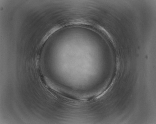 X0000081481361200701121434