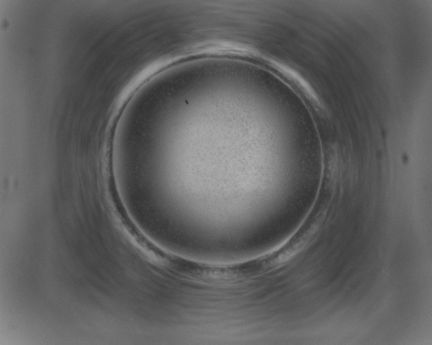 X0000081481375200701121434