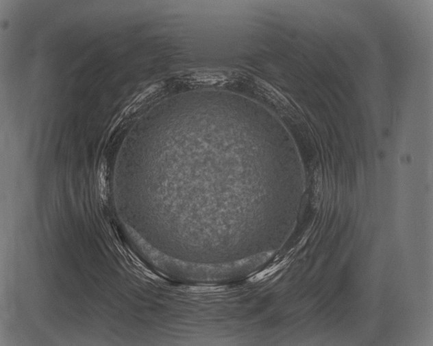 X0000081481394200701121433