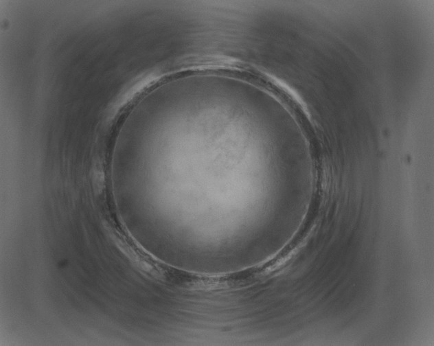 X0000081481407200701121433