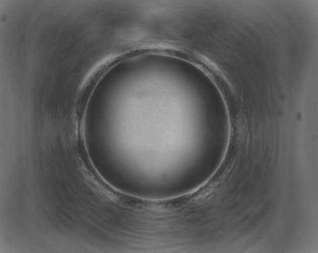 X0000081481408200701121433