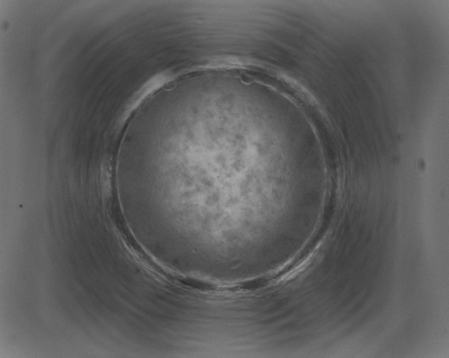 X0000081481409200701121433