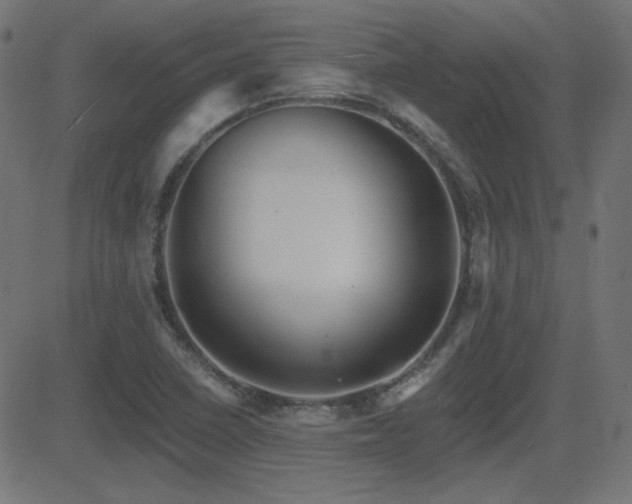X0000081481410200701121433