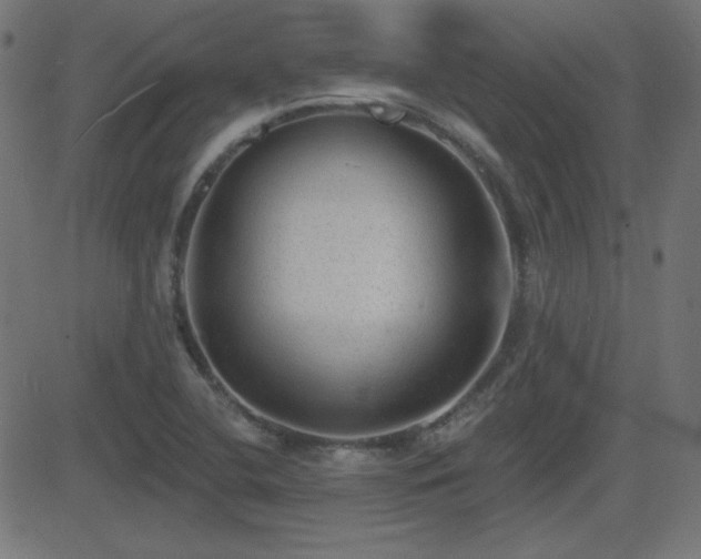 X0000081481412200701121433
