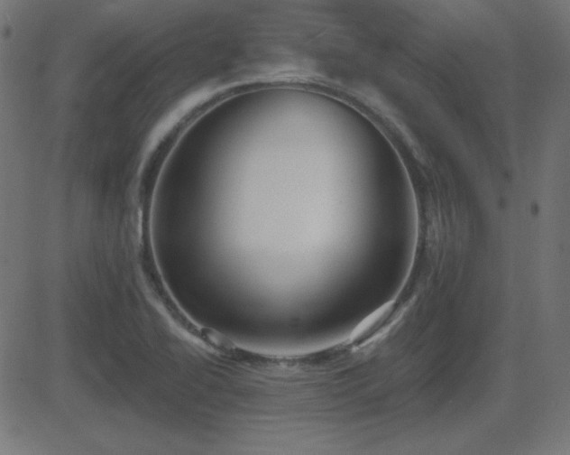 X0000081481414200701121433
