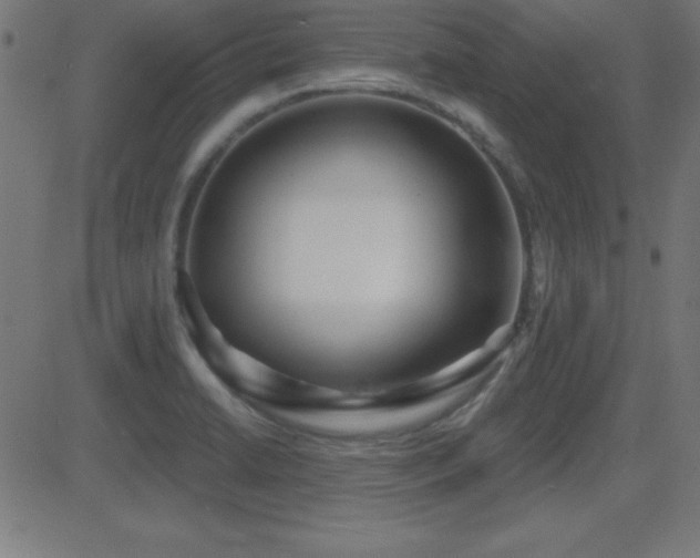 X0000081481422200701121433