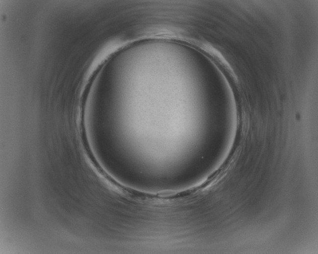 X0000081481424200701121433