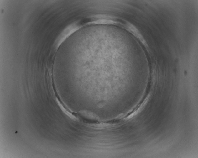 X0000081481425200701121433