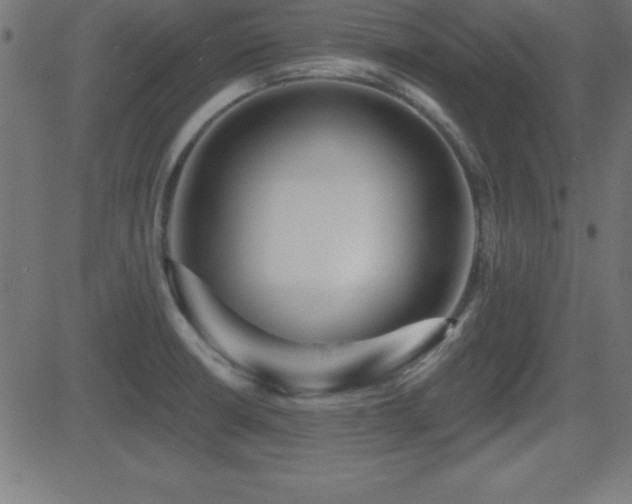 X0000081481426200701121433