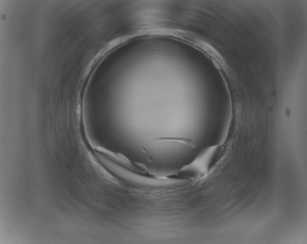 X0000081481428200701121433