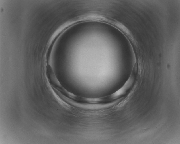 X0000081481430200701121433