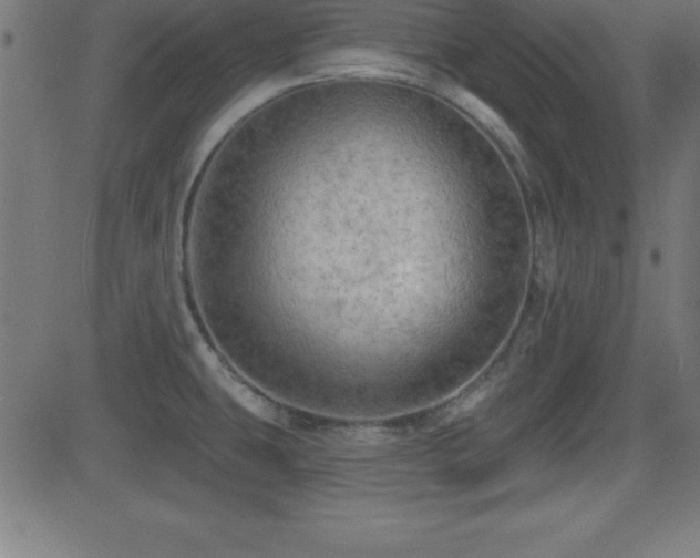 X0000081481431200701121433