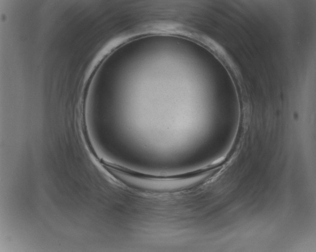 X0000081481432200701121433