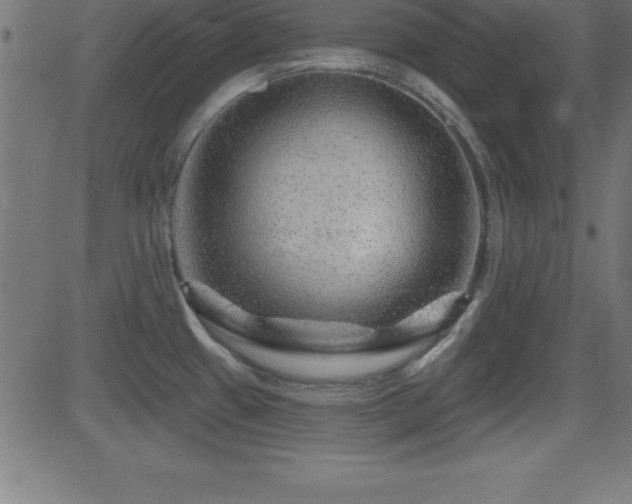 X0000081481433200701121433