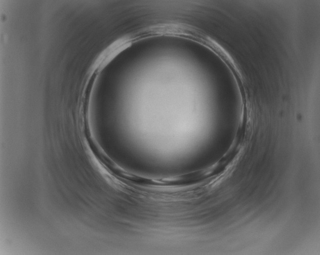 X0000081481434200701121433