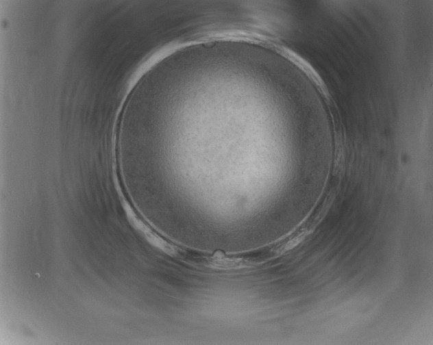 X0000081481439200701121433