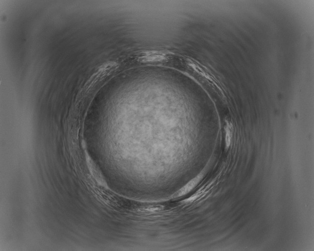 X0000081481441200701121433
