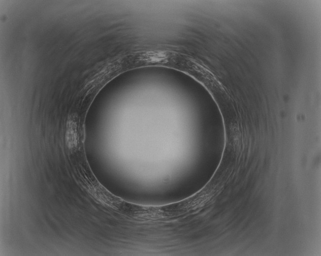 X0000081481442200701121433