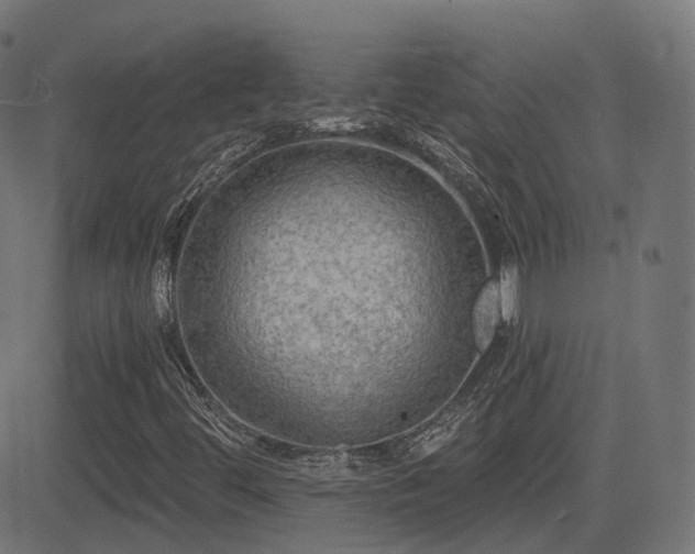 X0000081481444200701121433