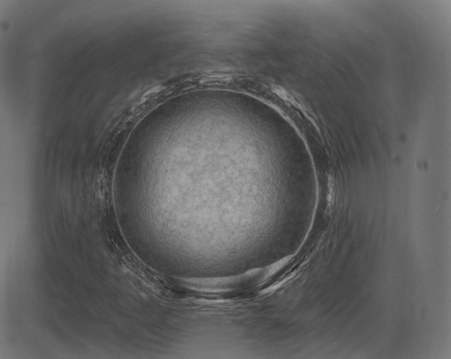 X0000081481445200701121433