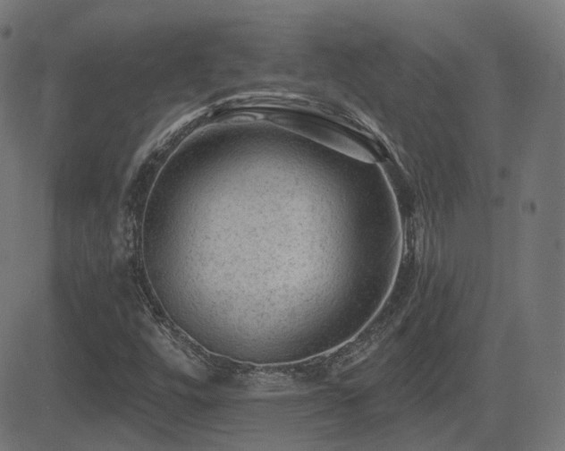 X0000081481448200701121432