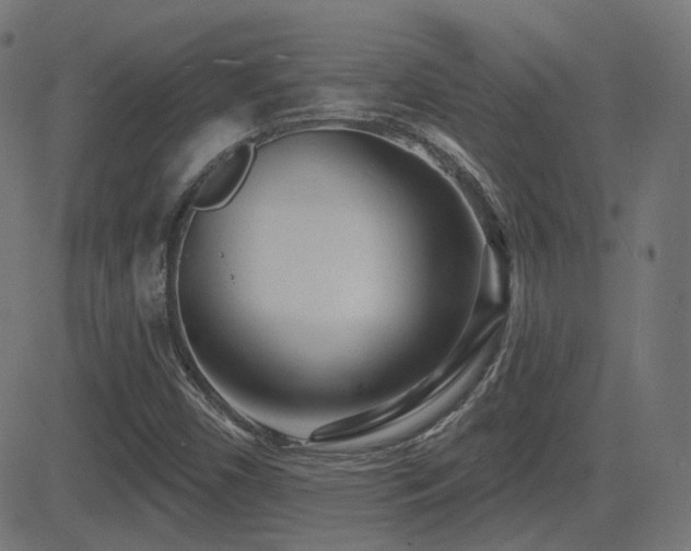 X0000081481450200701121432