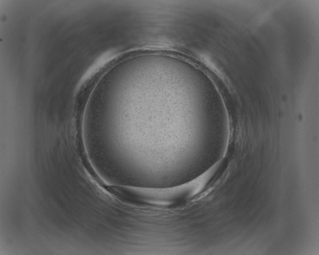 X0000081481456200701121432
