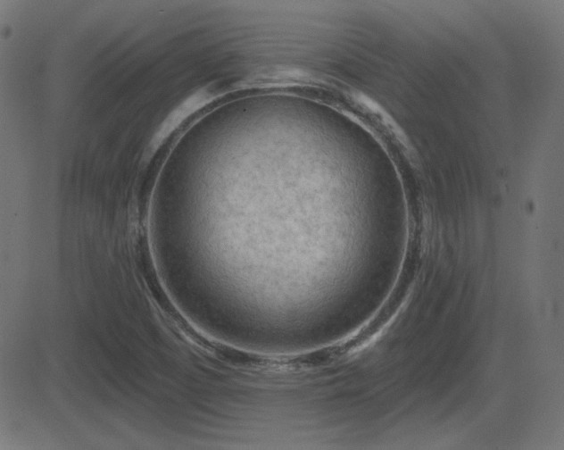 X0000081481457200701121432