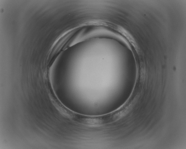 X0000081481465200701121432