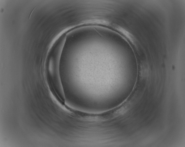 X0000081481468200701121432