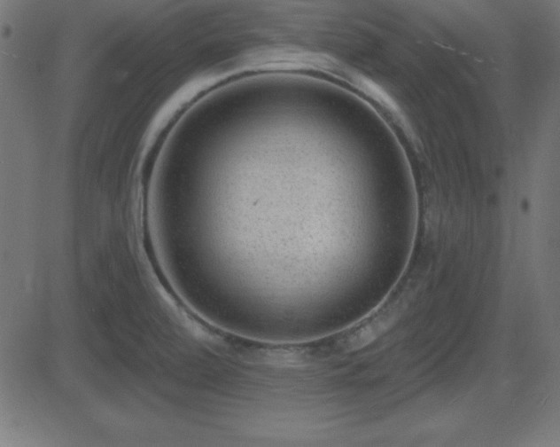 X0000081481472200701121432