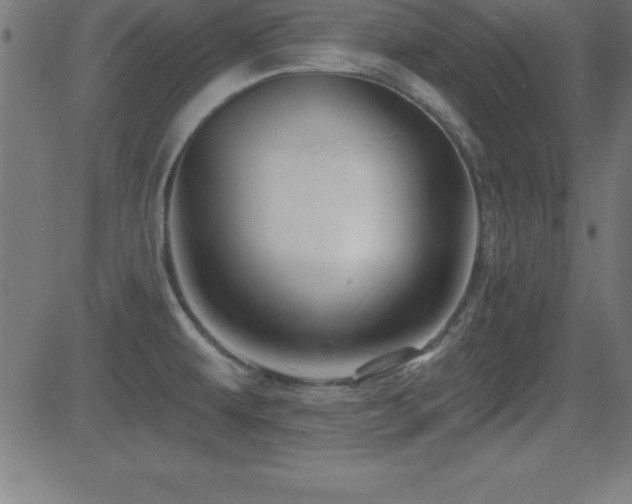 X0000081481479200701121432