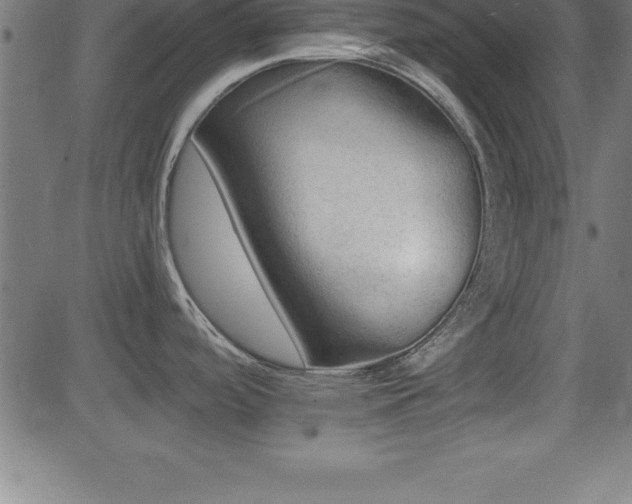 X0000081481488200701121432