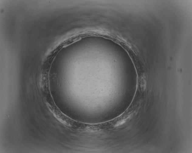 X0000081481496200701121431