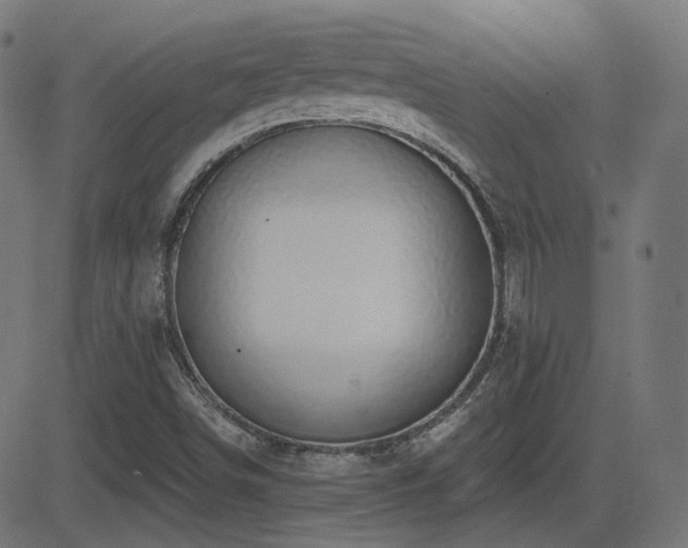X0000081481498200701121431
