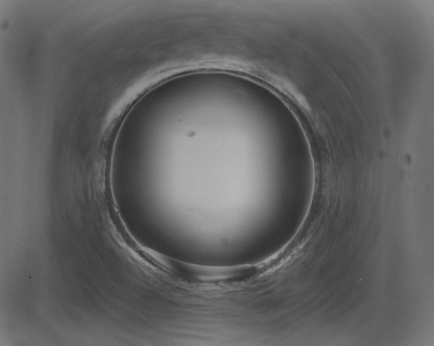 X0000081481504200701121431