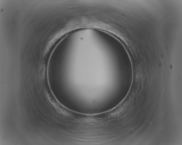 X0000081481507200701121431
