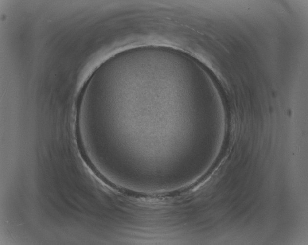 X0000081481508200701121431
