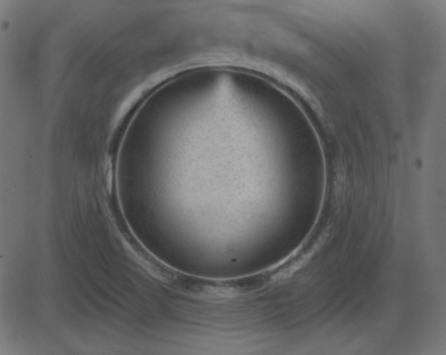 X0000081481509200701121431
