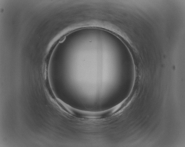 X0000081481510200701121431