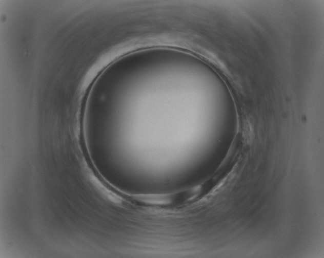 X0000081481512200701121431