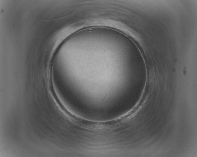 X0000081481517200701121431