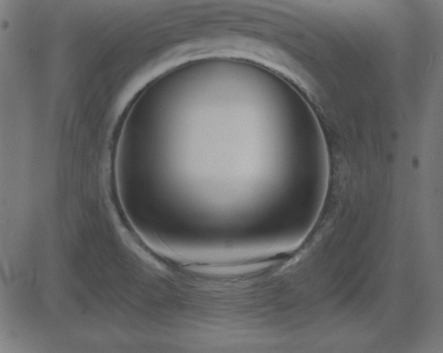 X0000081481518200701121431