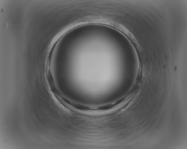 X0000081481520200701121432