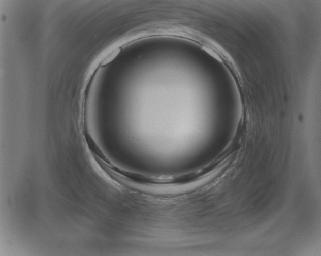 X0000081481528200701121432